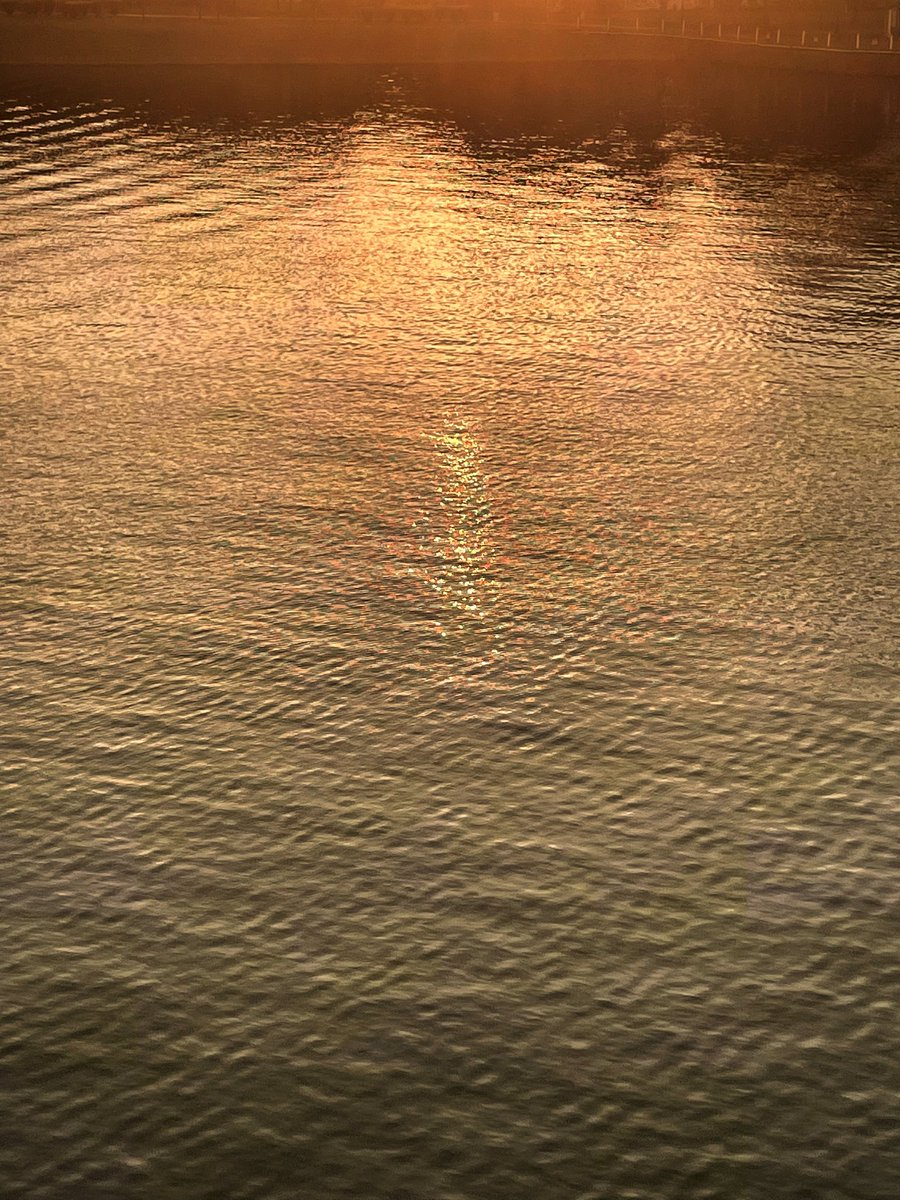 TheBiddys1's tweet photo. Hello there!

Its been a while since our last posting on social media.
We decided to take a break last year to find our tune back.

Thank you to those who have always support us from the early of this journey. https://t.co/gGcb8h69NW