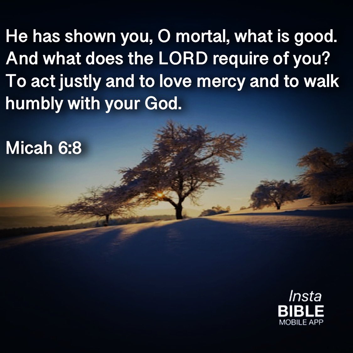 sleon's tweet image. Micah 6:8… download app 📲 @instabibleapp1 … #shown #mortal #good #LORD #require #justly #love #mercy #walk #Micah