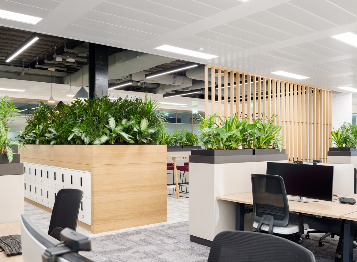 ST_Dublin's tweet photo. What better way to start the year than to showcase an exceptionally finished project for a highly valued client! We wish Experian every success in their new office space! #ClientFirst #WeLoveWhatWeDo | @Experian_US  | @CushWakeIRL | @perkinswill  | @StructureTone | @MetecEng https://t.co/qBfUxqowWX