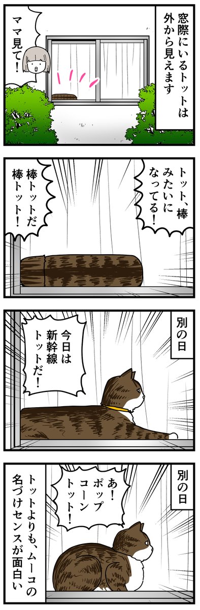 色んな形の猫
 #育児漫画 #猫漫画 #エッセイ漫画 