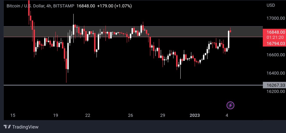 Crypto Vampire 🦇 tweet media