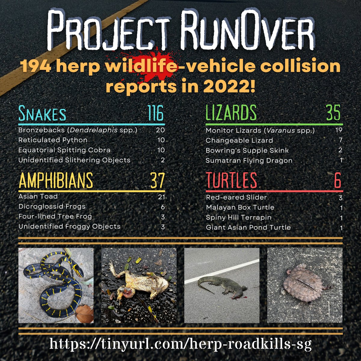 herpsocsg's tweet photo. Here is our #ProjectRunOver report for 2022.

#ProjectRunOver is a citizen-science project that looks at wildlife-vehicle collisions (WVC) involving herpetofauna in #Singapore. WVCs are not limited to roadkills &amp; motor vehicles; we also get reports from cycling paths &amp; sidewalks. https://t.co/qdZGknUP1C