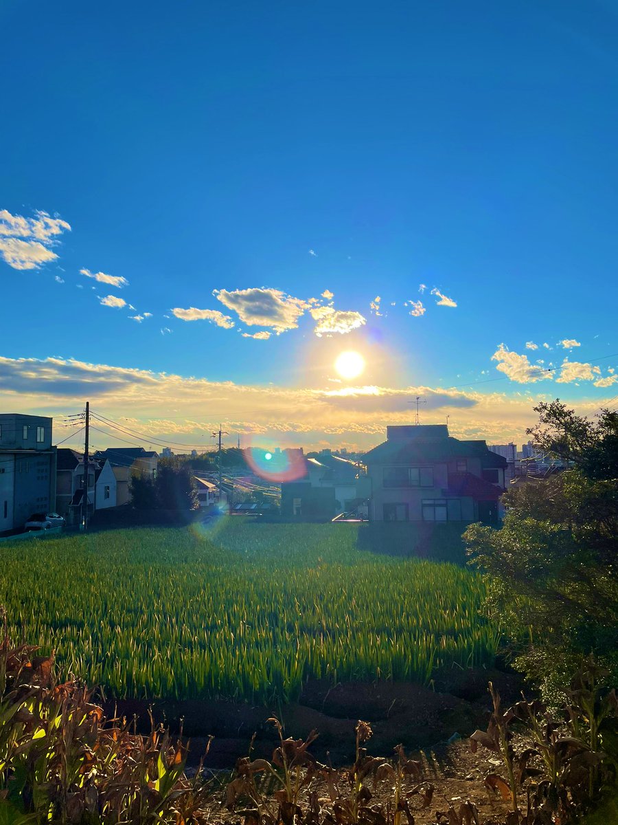 dinkydonaldo's tweet photo. 本日は疲労抜きジョグ。年末年始休みは自分との約束通り毎日走る事が出来、計算したら12月27日〜1月4日まで155.55k走れました👏👏👏
走れる事に感謝しつつ今日は近くの公園のトレイルっぽい道をゆっくりのんびり。しかし鼻水がズビズバ出てくる問題が酷い...皆さんどうしてるの 🤔#cloudflyer4 https://t.co/hmv6DgC8Re