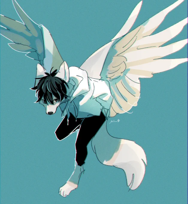 sona 