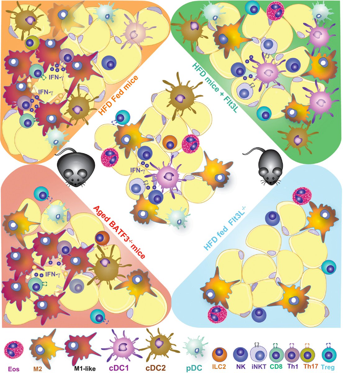 Salva Iborra tweet media