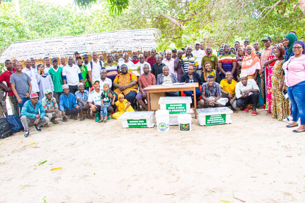 Mdimni Mangrove Conservation Project (MMCP)  Mpaka sasa  tumesaidia aunzishwaji wa vitalu vya mikoko, uwekaji wa mizinga ya nyuki, na uanzishwaji wa vikundi 4 vya usajiliamali na uhifadhi. 
#ClimateAction #ClimateEmergency #ClimateActionWBG #Tanzania 

📸@fredynjeje