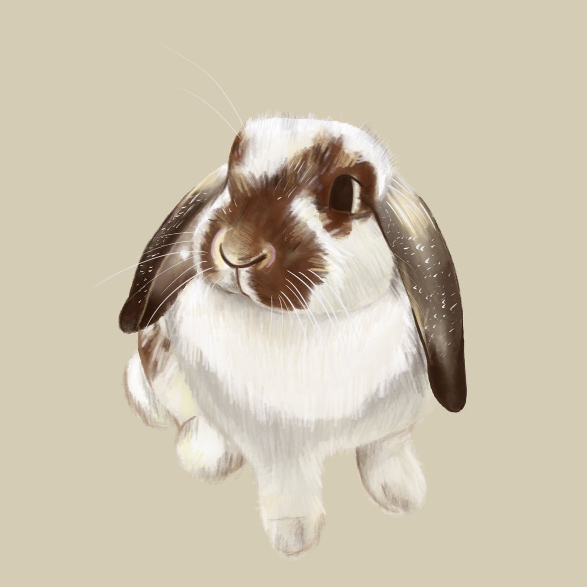 nnptypp's tweet photo. 🐰🤍
#digitalpainting #rabbit https://t.co/aK7FNGS5Sh