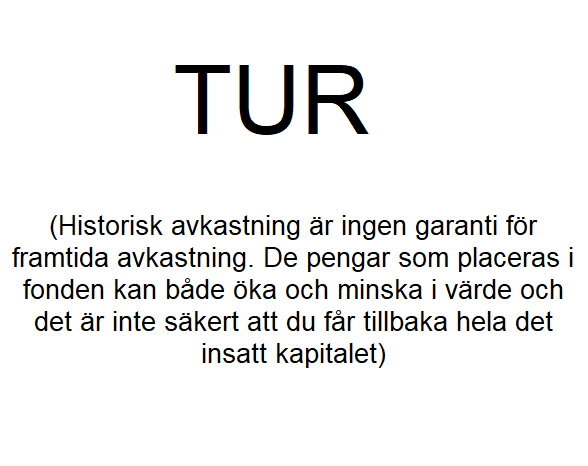 Proethos fond fyller 5 år 🎁 När fonden hade funnits i 6 månader så var fonden den bästa fonden i sin kategori, blandfond SEK agressiv, under en månad. Tur. När fonden funnits 1 år så slog vi vårt jämnförelse index och sthlmsbörsen. Tur.