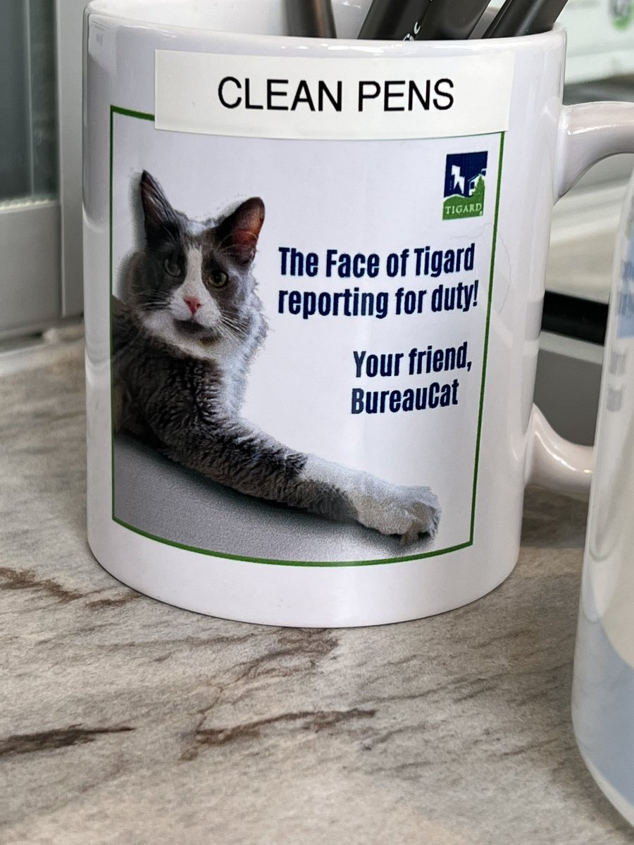 othellokitty's tweet photo. @annamerlan Bureaucat 😺 https://t.co/lrqQ1yc7x3