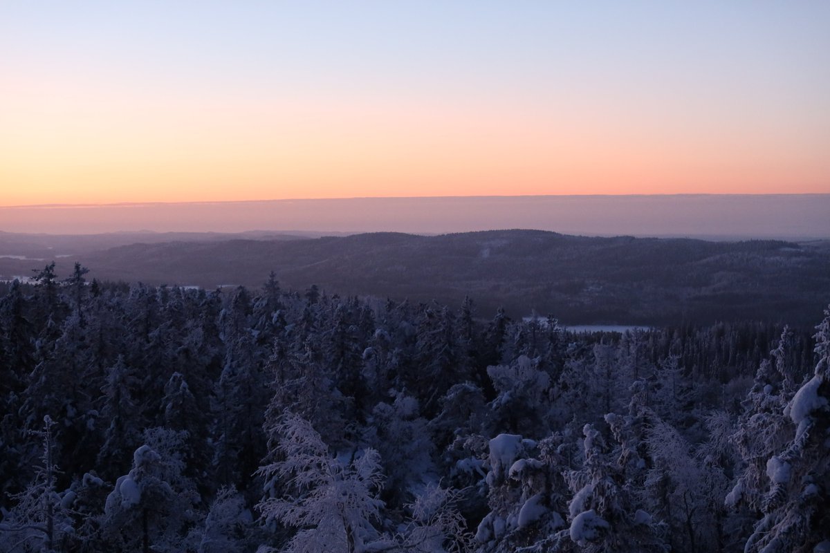 Vuoden ensimmäinen työmatka. Pakkasaamu valkenee Kolin vaarametsissä. #kolinkansallispuisto #luonto #retkeily