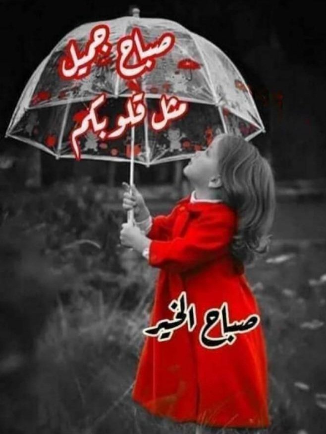 سهام باغفار tweet media