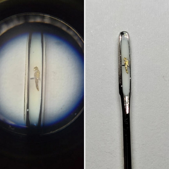 Parrot In The Eye Of A Needle. NFT with Physical Micro miniature by <a href="/BlackAbbot_NFTs/">Innovation follower</a> 1/1 5 ETH Available on #OpenSea