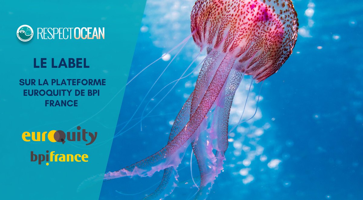 📣[Le label RespectOcean sur <a href="/EuroQuity_fr/">EuroQuity</a>]

👥 Vous portez une solution, une innovation, une action pour la préservation de l'Océan : Contactez-nous !
Déjà membre ? 👉Rejoignez le label ! bit.ly/3ie68qC
Pas encore membre? 👉 Rejoignez-nous ! bit.ly/3WHOn1L