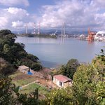 島旅＠コミケありがとうございます。月末に沖永良部島に行きますのツイート画像