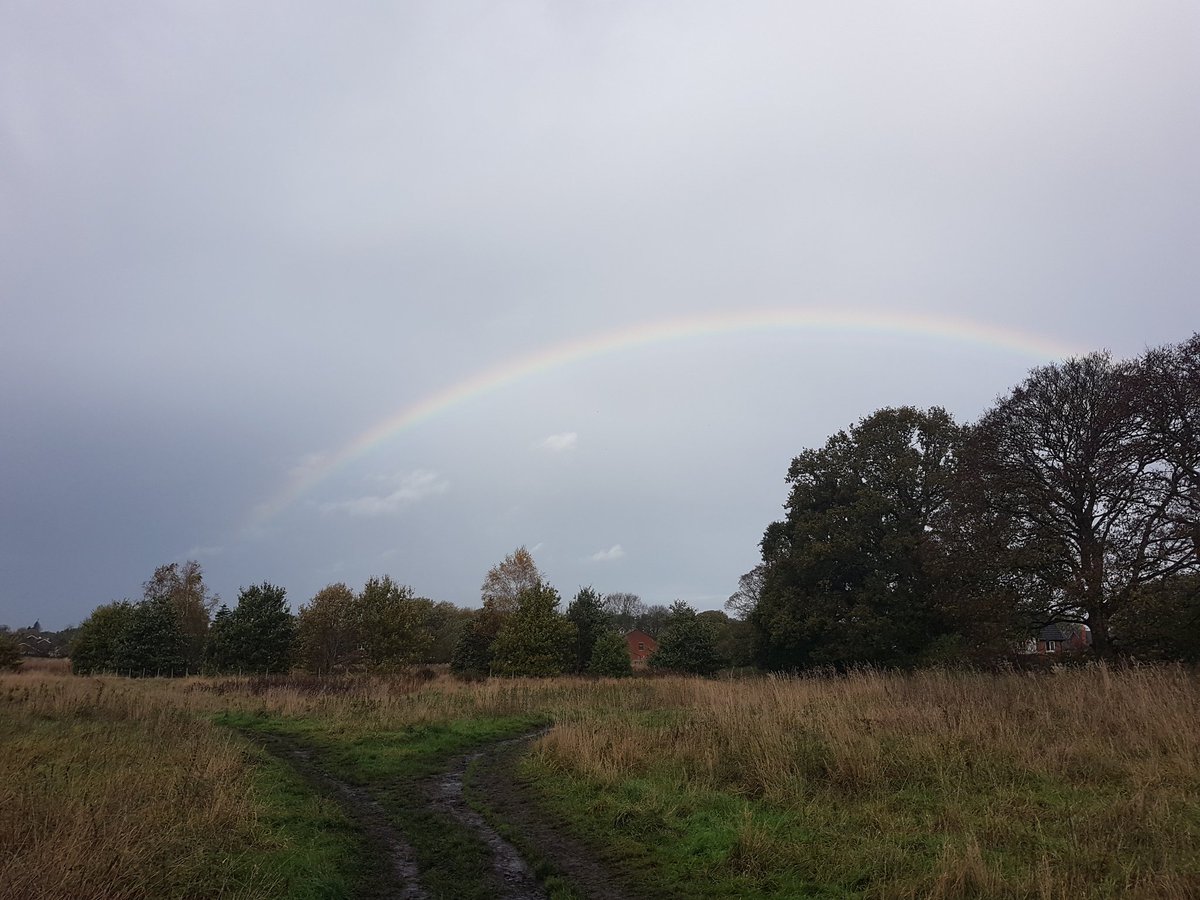 DanesMoss's tweet photo. @sykesjeff Here is one of a rainbow over our local lowland peat bog #boglove that is threatened with destruction, the pot of gold at the end is the massive 220,000+ tonnes of CO2 this site stores, restoration could make it even more valuable turning it back into a #carbonsink https://t.co/WEkdAuoFWl