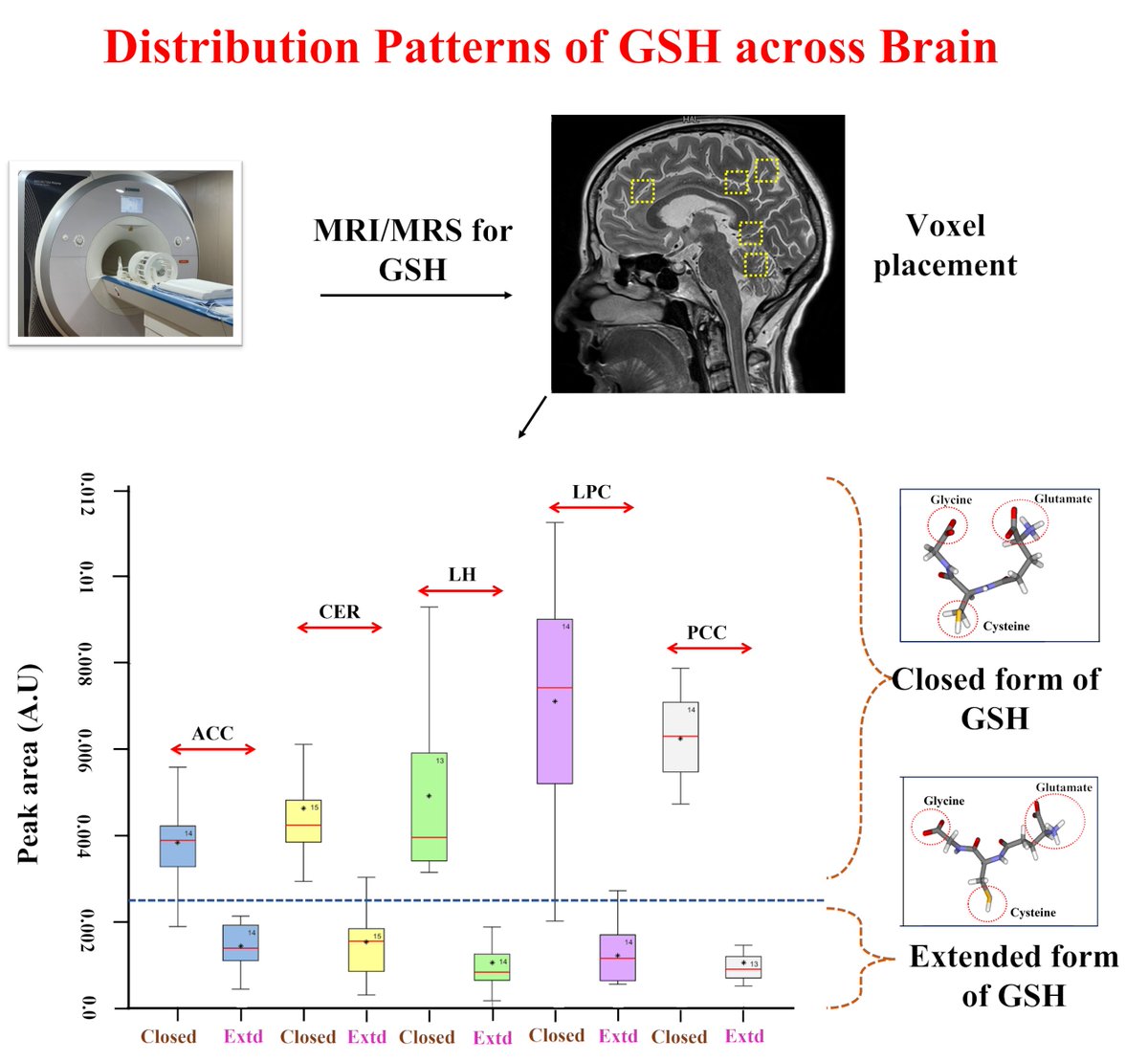 <a href="/DBT_NBRC/">BRIC-NBRC</a> Scientists find the Master Antioxidant Glutathione in two Conformations with Distinct Patterns in Human Brain:  A Quest for Blood-based Screening Kit for Alzheimer’s Disease
<a href="/DBTIndia/">Department of Biotechnology</a> <a href="/IndiaDST/">DSTIndia</a> <a href="/rajesh_gokhale/">Rajesh Gokhale</a> <a href="/DrJitendraSingh/">Dr Jitendra Singh</a>

pubs.acs.org/doi/10.1021/ac…