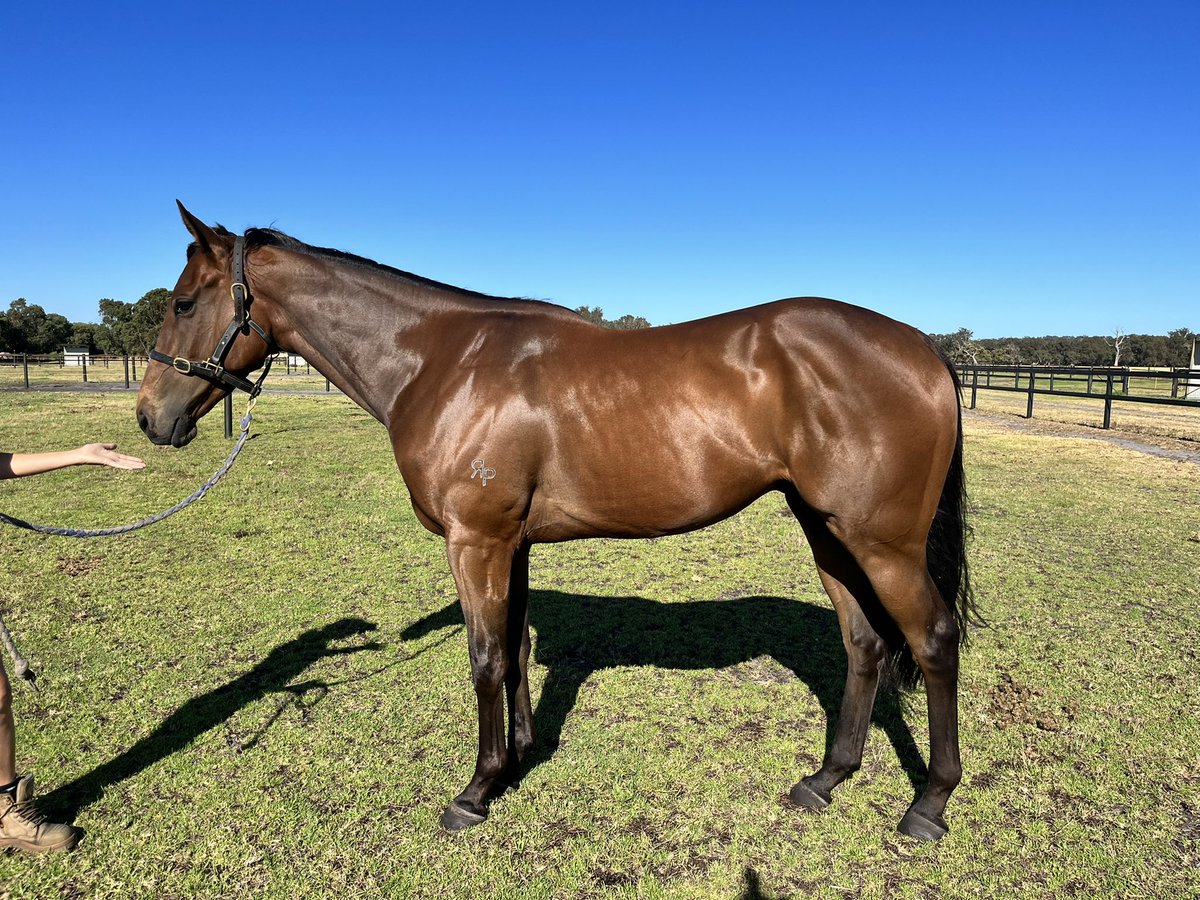 Easthoperacing's tweet photo. Johnny enjoy his break at Copperpenny park. Will be back in work in a few weeks. #upperlimits @Rheinwood https://t.co/hkYG2wg79N