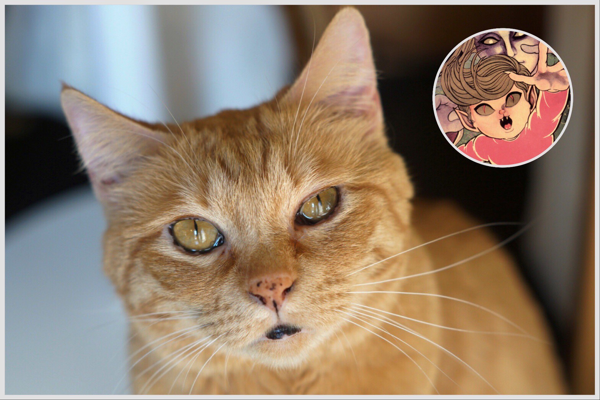 【EP】テレビまんがアクションシリーズ　妖怪伝 猫目小僧　ザ・カゲスター EP ザ・カゲスター 妖怪伝 猫目小僧（楳図かずお）