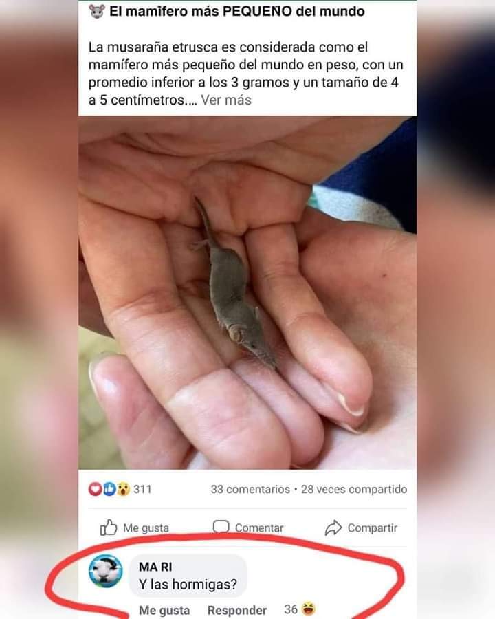 CarlosChNav tweet picture