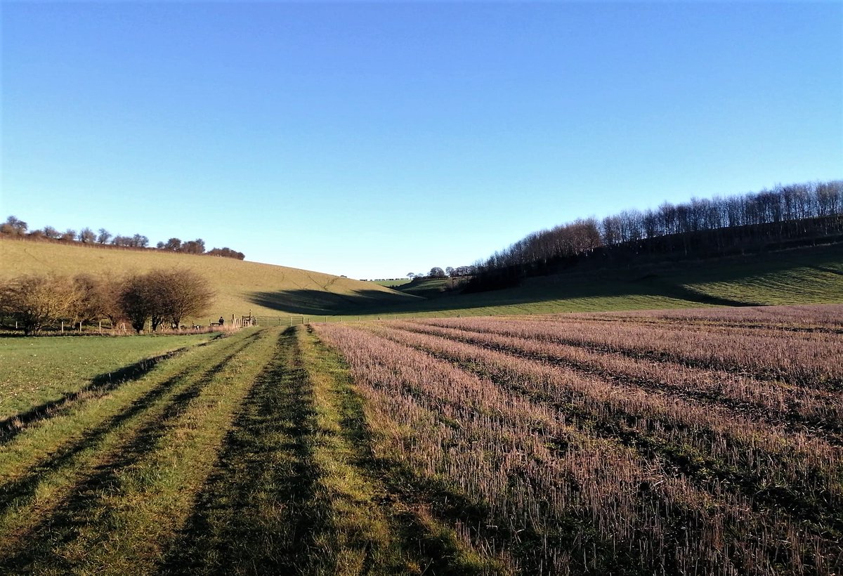 Swin Dale. Looking east.
#YorkshireWolds