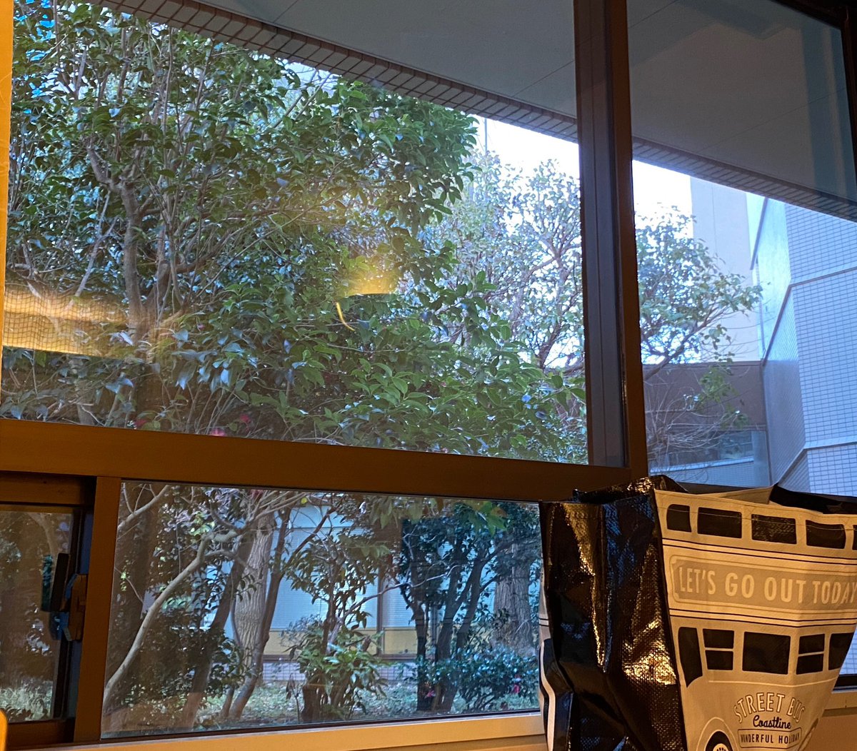 今日は通院日🏥
血液検査の結果が良ければ、入院にて抗がん剤💉

結果はまさかのコロナ陽性😨

私は重症化リスクの非常に高い基礎疾患持ちなので、コロナ隔離病棟にて入院して、しばらくコロナの治療に専念することに😷

本音を言うと
怖い、非常に怖いです。