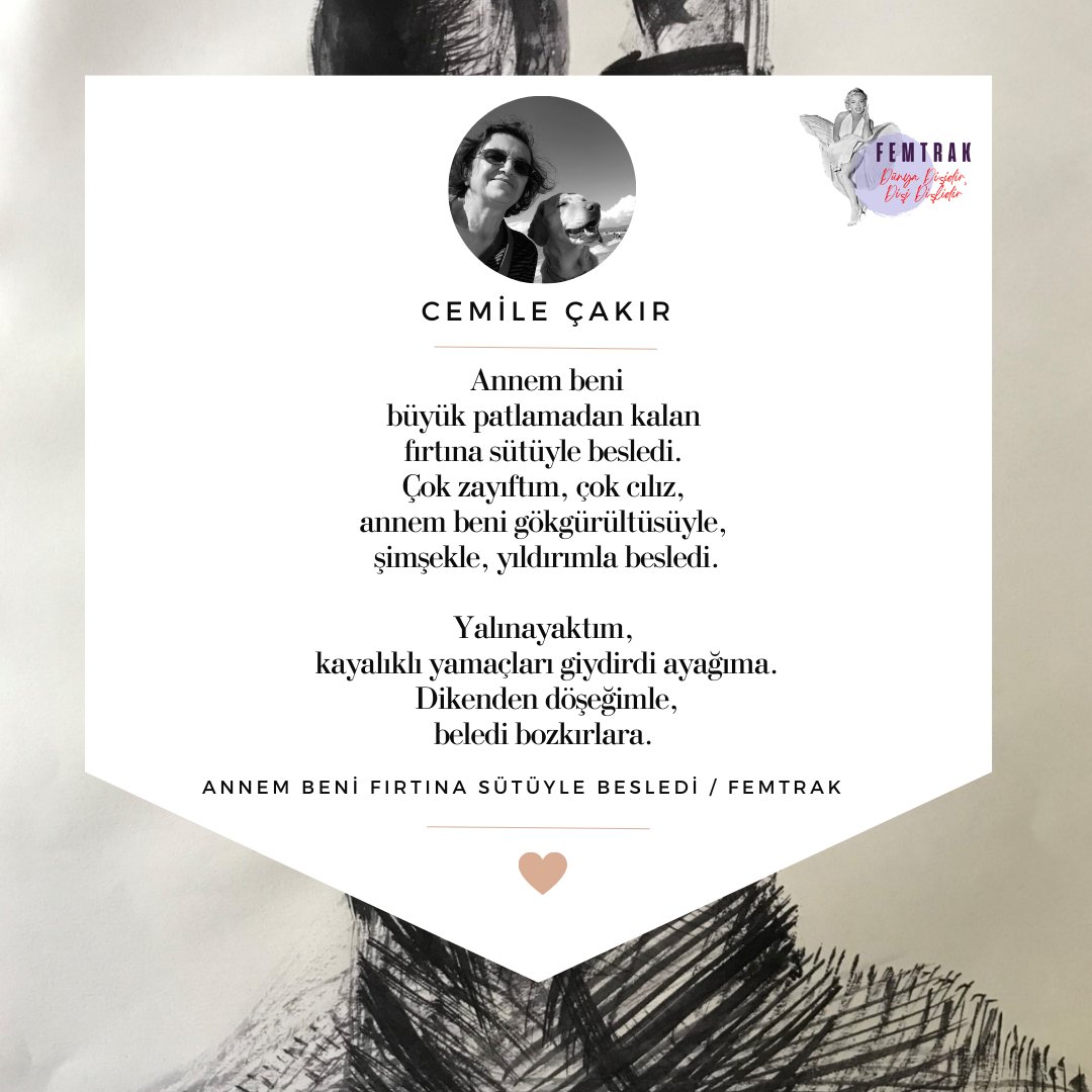 Cemile Çakır yazdı: "Annem beni fırtına sütüyle besledi" - femtrak.com/annem-beni-fir…