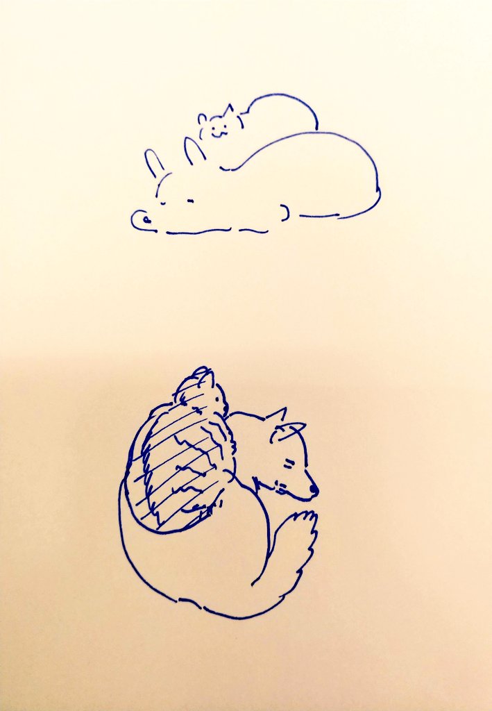 염치없는 고양이