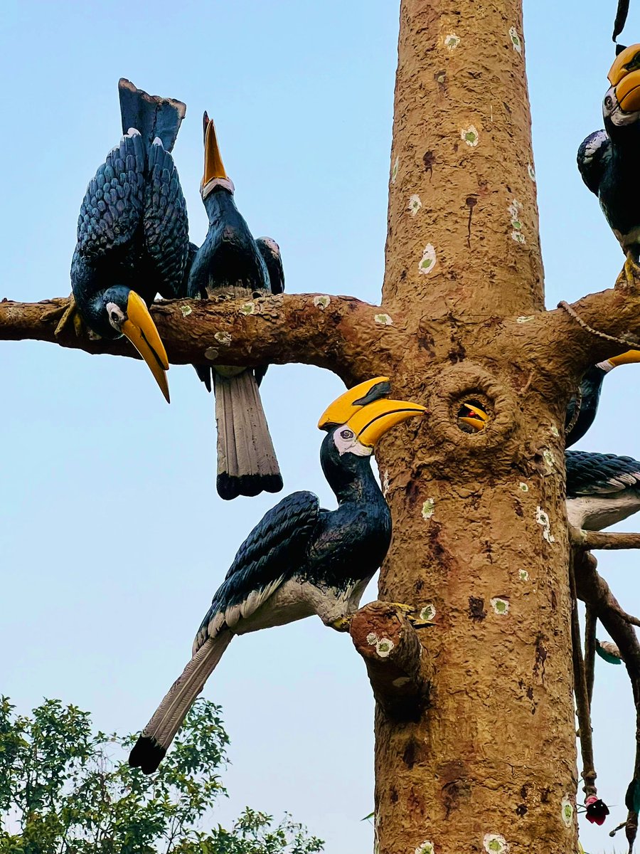 rameshpandeyifs's tweet photo. Not only in Nagaland, Tripura also organises a Hornbill festival at Baramura Eco-Park. The Eco-park is jointly run by local community and forest department and is a successful model. This display of Semal tree with hornbills at the entry gate of the park attracts visitors. https://t.co/zZ3E7pxR5o