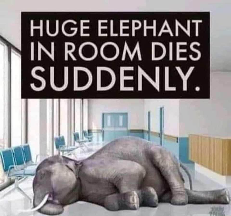RealErinCruz's tweet photo. What in the Fauci Pfizer Moderna is going on here … NOTHING TO SEE … #movealong #nothingtodeclare #suddenlydied #sports #healthy #young #bestfood #besttrainers #mostfit #bestdoctors #besthealthcare #DEAD WE NEED: #Whistleblowers https://t.co/Ca4stvmYqm