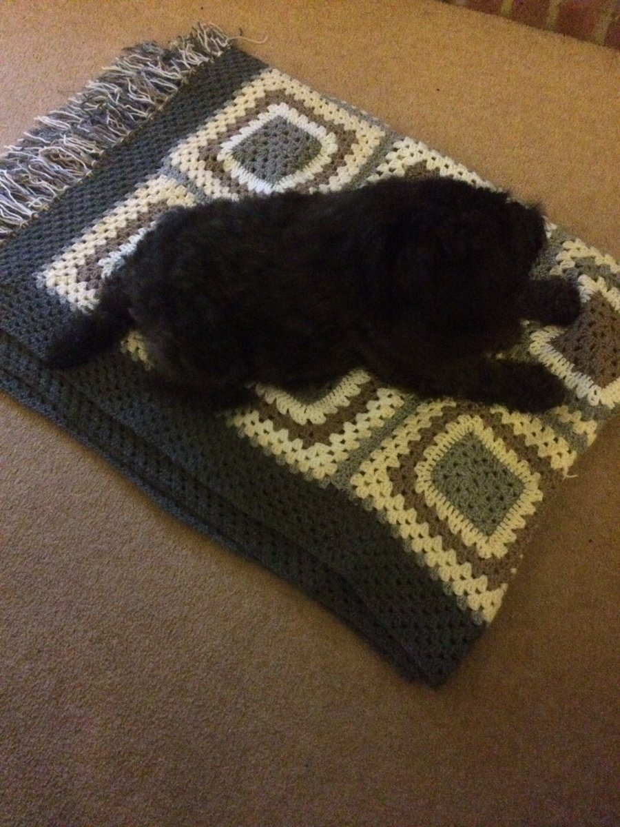 Ninanigel's tweet photo. @Dorcasstories @westdeancollege My lockdown crochet https://t.co/0vp8LwdaUe