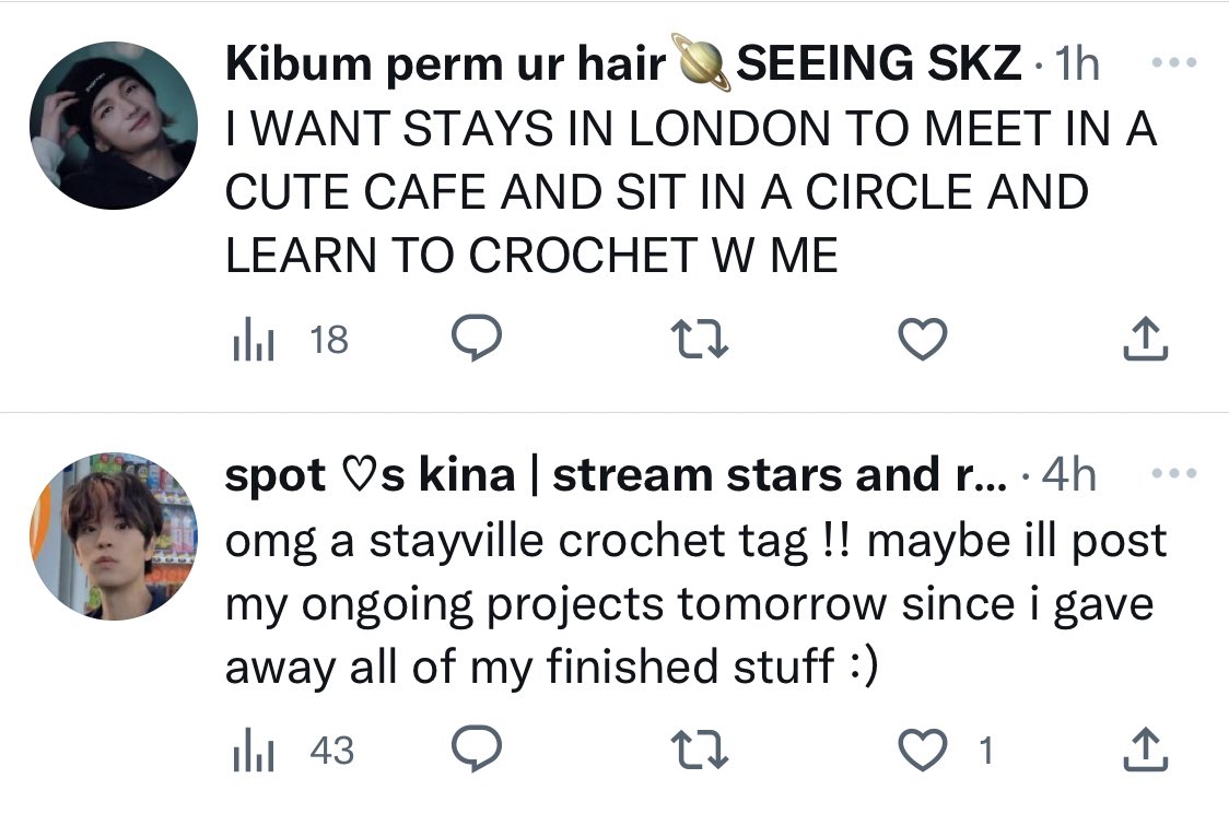 amywolfchan's tweet photo. wait literally all my tl are talking about crocheting, does everyone in stayville seriously crotchet?? https://t.co/PTrJNtjuWV