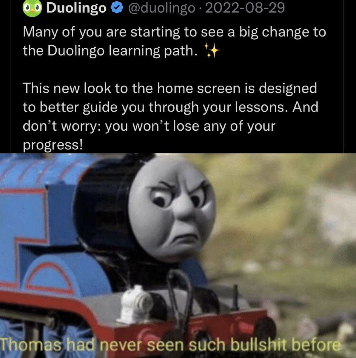 Duo_is_sad's tweet photo. #duolingoupdate "you won't lose any of your progress". I lost ALL of my progress! https://t.co/cgebw3dGw0