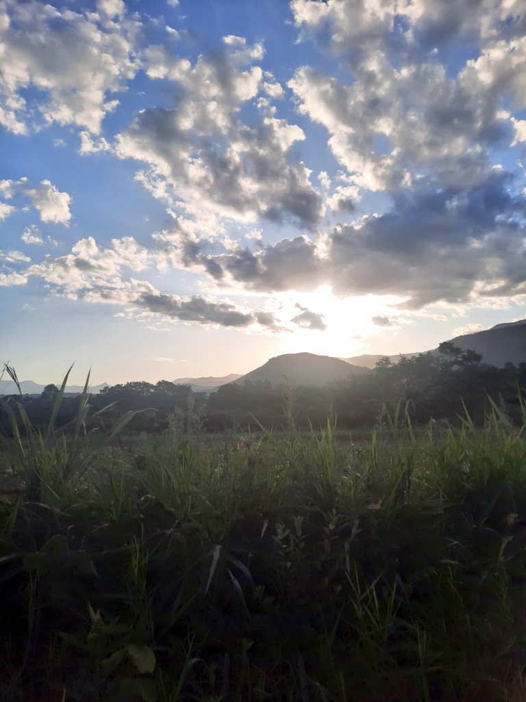 ViewsinZim's tweet photo. Mazowe x Eastern Highlands views 😍 https://t.co/rnwmg0rZo8