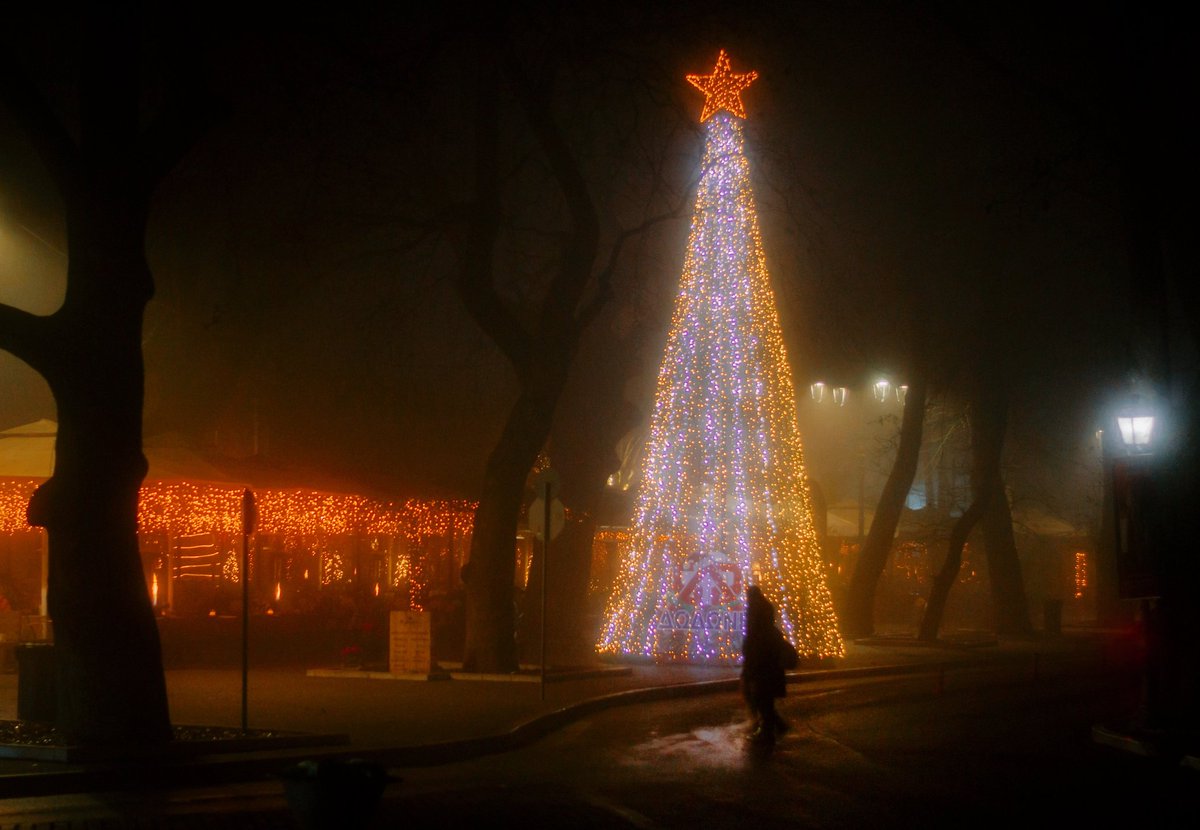 xontrikaiasximi's tweet photo. 🧡 A silent night 🧡
#ioannina #giannena #epirus #Greece #mycity #whereilove #nikon #nikond3100 #nikonphotography #darkness #christmastree #night #nightphotography #urban #urbanphotography #photography #photographylovers #shadows #silhouettes #urbangreece https://t.co/aYbnfUWHn3