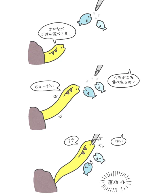 ごはんを下に落としたら食べるかなーって思ってたら、速攻で直スポイトされた 