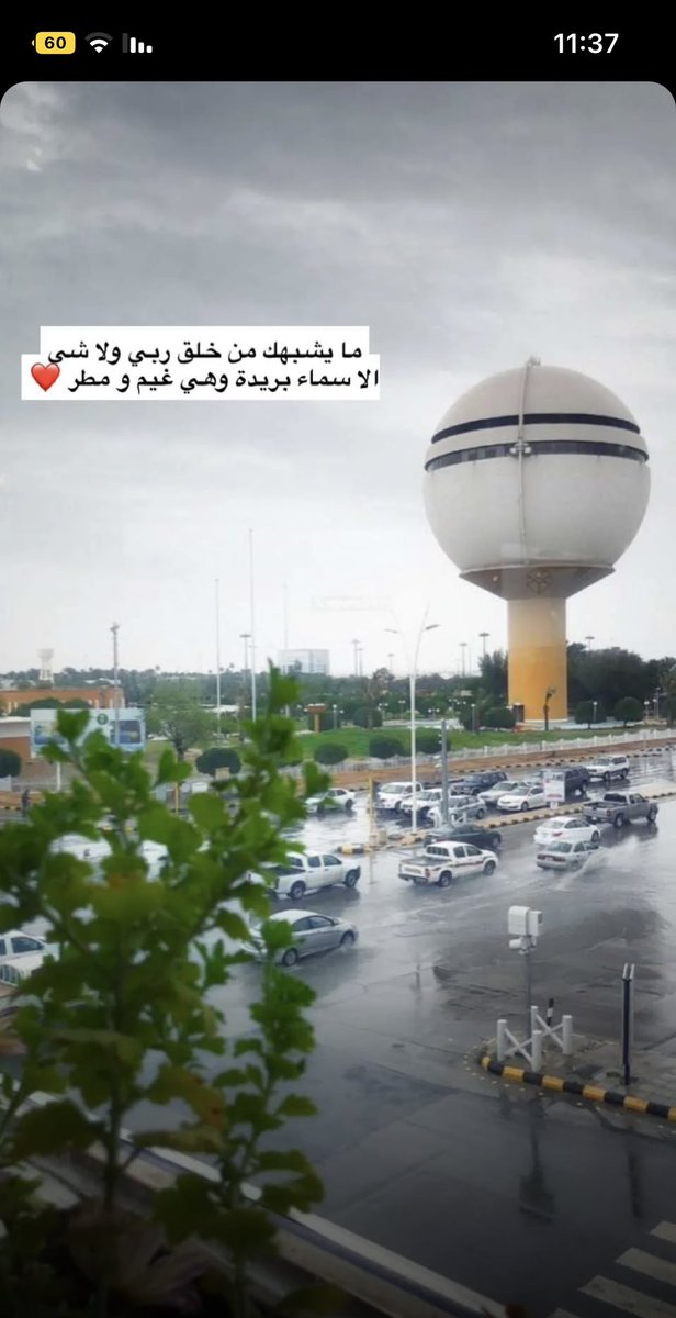 ديم الروقي 🕊 (@deem_alroki) on Twitter photo 