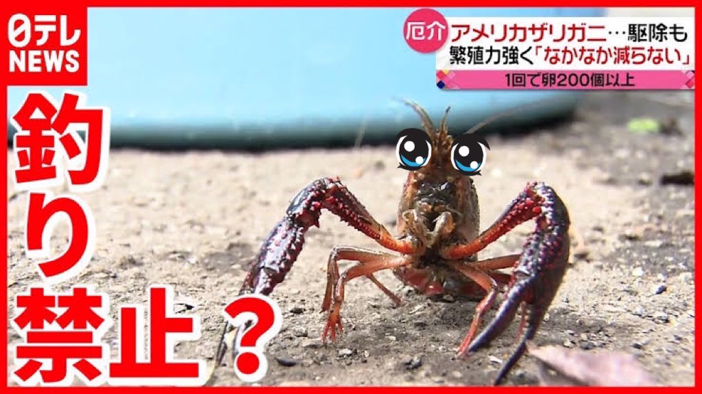 KUNITO_VR's tweet photo. 【ねづっち朝起きたらザリガニになっていて医者に今後おもしろいことしたら死ぬと言われた】

教えてくれてザリがとう（絶命） https://t.co/dabGVCL72H