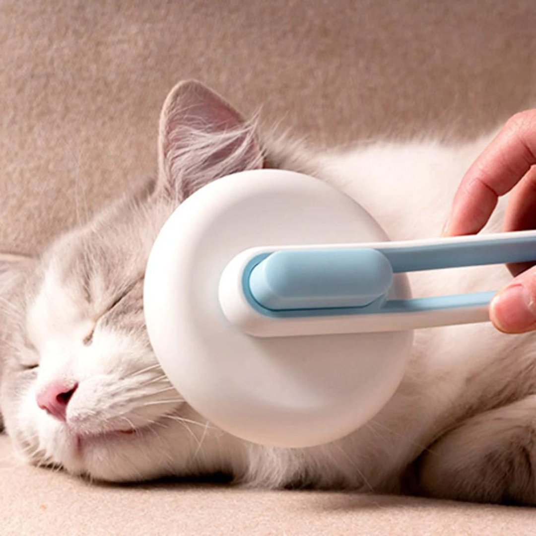 swancook2's tweet photo. Round Hair Brush For Cat Dog Pet Supplies
#pets #cats #dogs #animals #puppies #petsofinstagram #petaccessories #petlover 

Pet store... https://t.co/hEgVSBFRVl https://t.co/X5VaXnSb5w