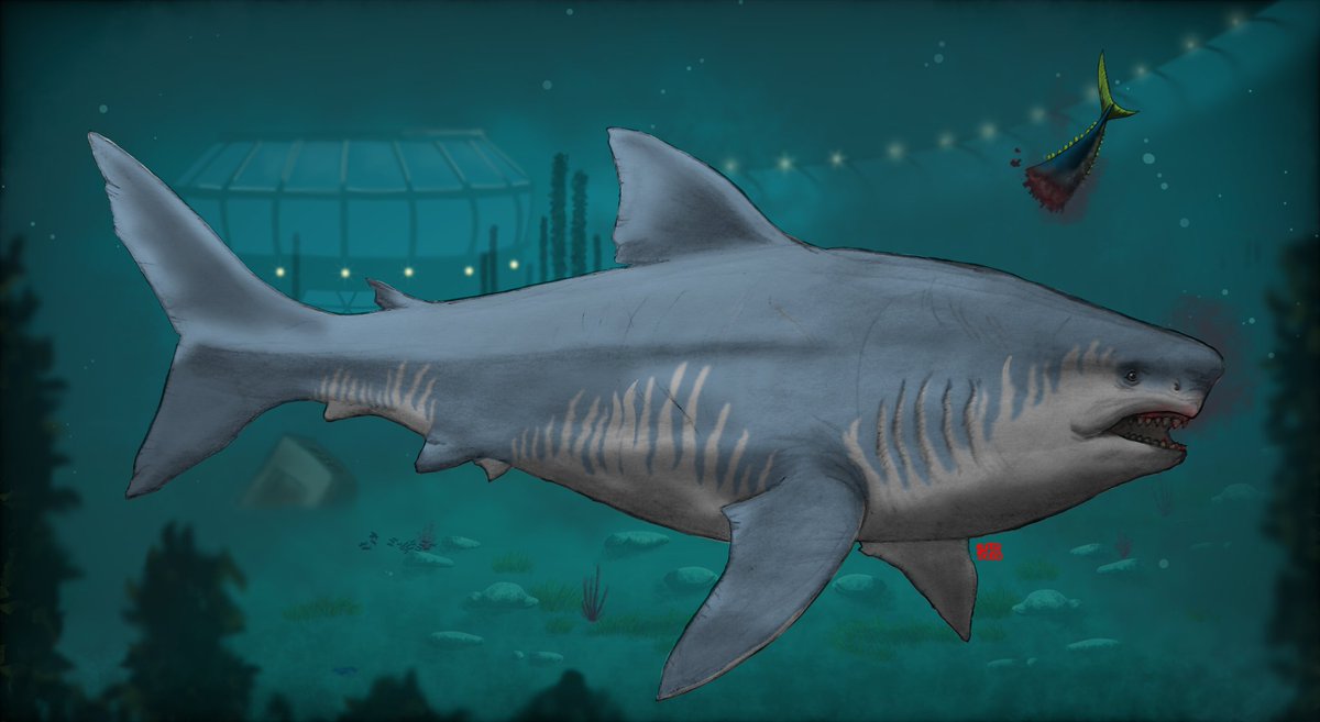 What if...? O/C Megalodon in Jurassic Park/World

#JurassicWorld #JurassicPark #Megalodon #IslaNublar #illustration