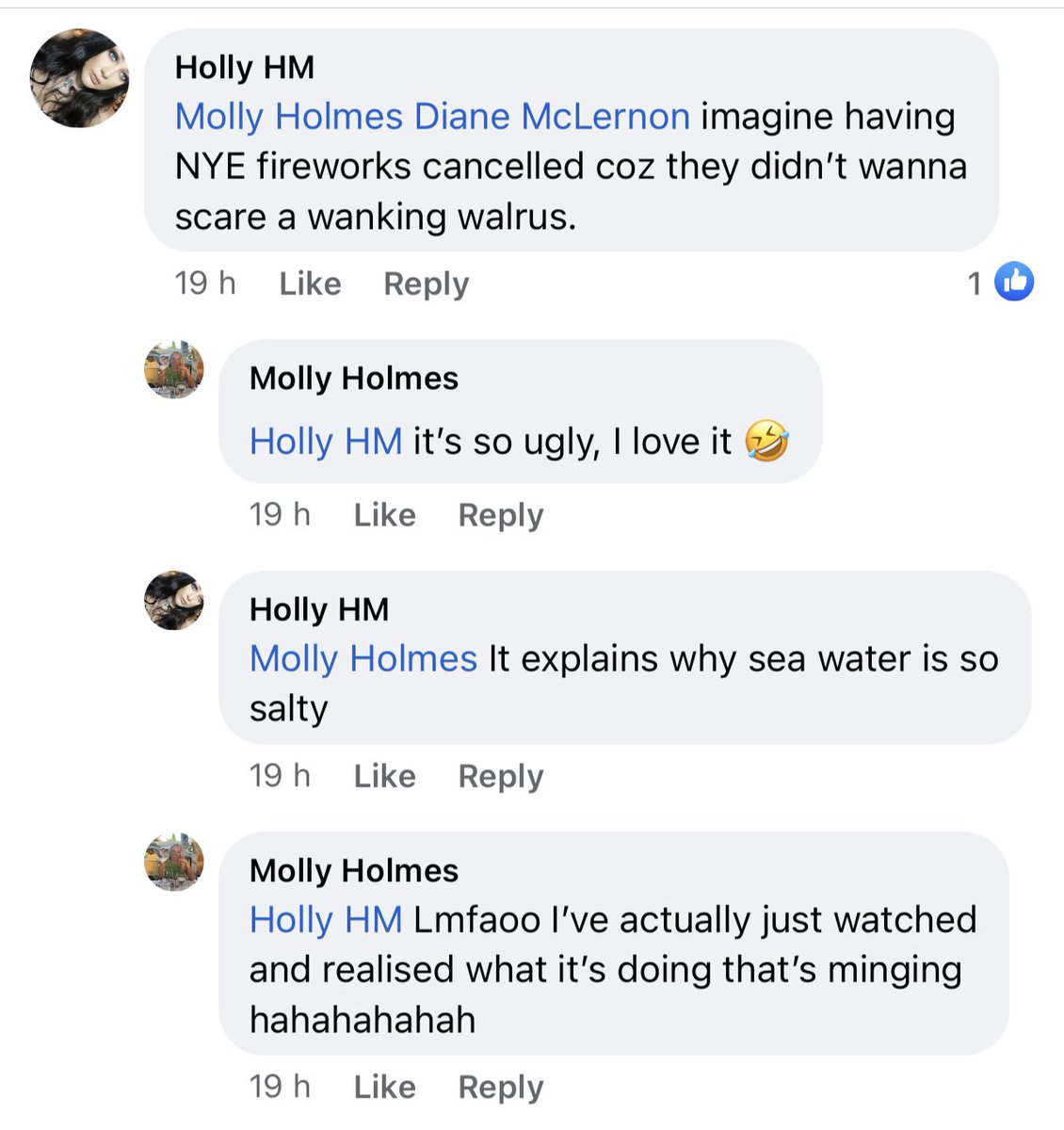 So I was having a laugh with my cousins girlfriend about Thor the walrus, when this random ugly man decided to involve himself. Why is Facebook just full of whoppers? https://t.co/LxNejxuloJ
