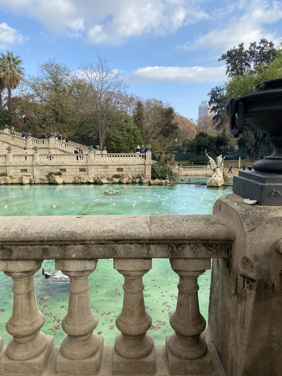 Gm🫧💎🕊🫧🌱🤍🫧