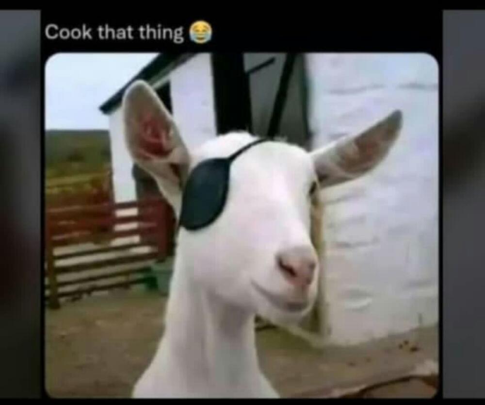 mashaflamers's tweet photo. @reagann450 Ama🤪 https://t.co/lJpMVskcig