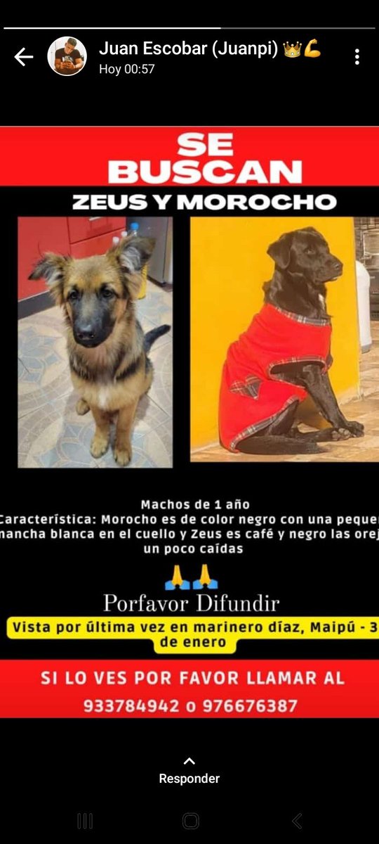 LeosilvaaLe's tweet photo. #despiertaconchv favor difundir, son de Maipu y muy regalones https://t.co/wkFbVXAab8