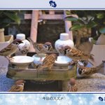 ツイートに含まれる画像