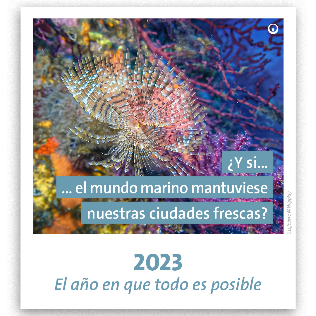 PabGarBer70's tweet photo. Los mejores sueños para el 2023. 
"It always seems impossible until it's done" (Nelson Mandela)
@Veolia_Es @Agbar #ImpossibleIsPossible #FelizAñoNuevo https://t.co/wqEjBbzE47
