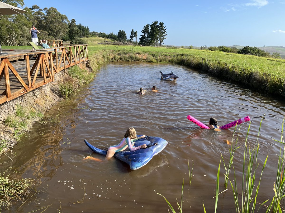 This family had an amazing time in our farm dam outside strawberry hill house....thats what holidays are all about. #farmlife #familytime #summertime