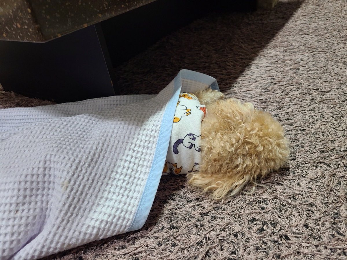 won_foruu's tweet photo. how cute #WON_ForU https://t.co/99skxVBcPA