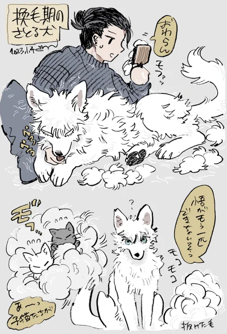 換毛期のさとる🐶 