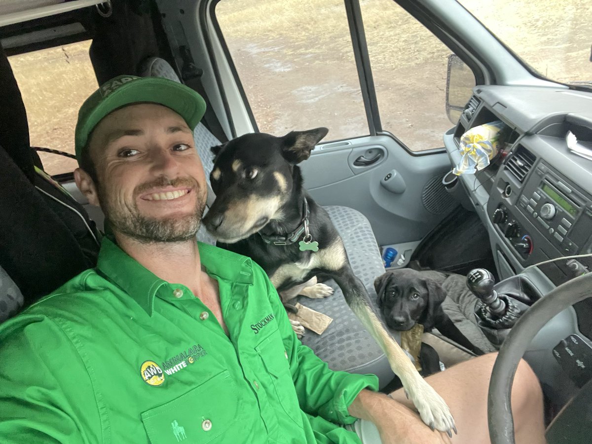 jcressw3's tweet photo. Back into it after a short trip! @farmsadvice @advertyoureye @annalarawd https://t.co/pLoqC8l7tu