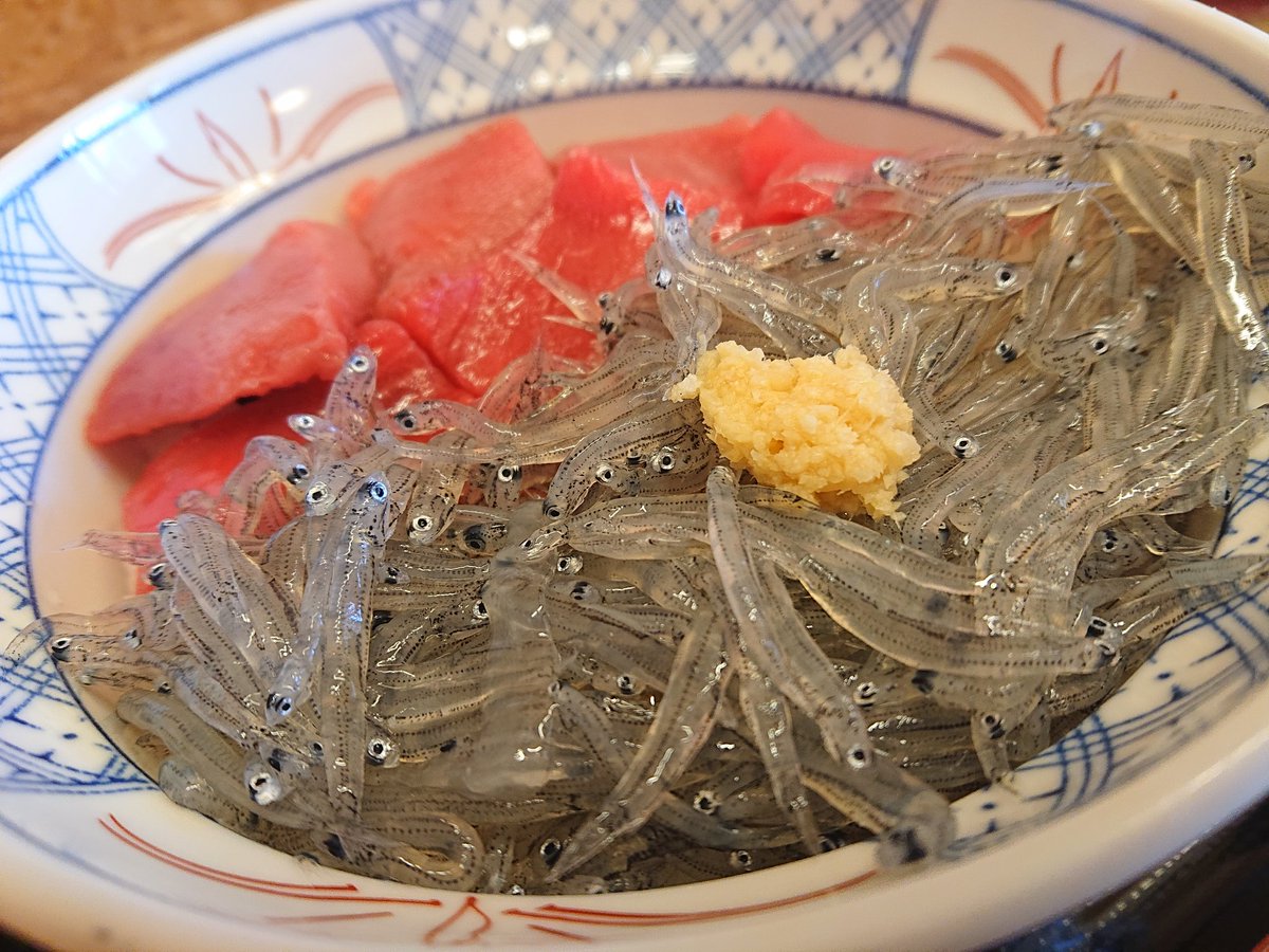 yanamasa's tweet photo. わたしが一番美味いと思うしらす丼☺️
今日も3分で完食しました🎵

#生しらす #しらす丼 #江ノ島辺り https://t.co/16Pspyc6XC